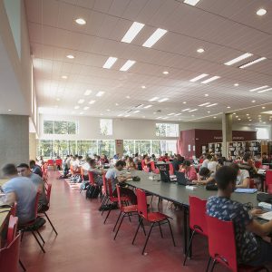 University libraries - undamental and Applied Science